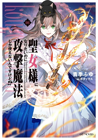 聖女様になりたいのに攻撃魔法しか使えないんですけど！？ Raw Free